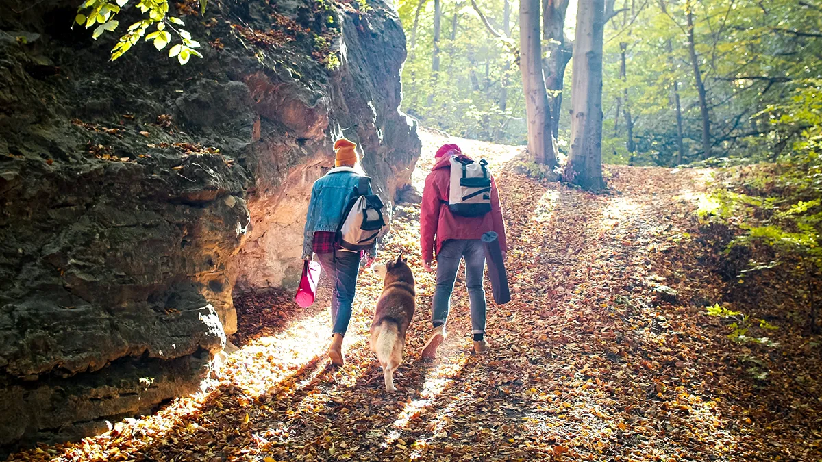 A couple walking in the woods with their dog